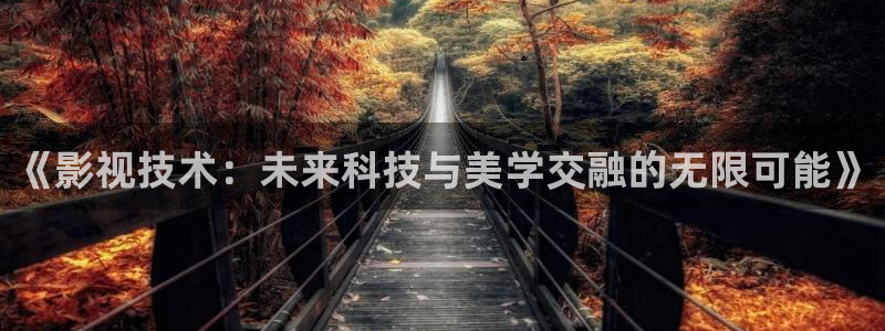 久久经视频：《影视技术：未来科技与美学交融的无限可能》