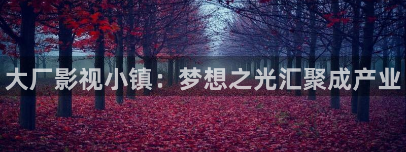 久久精彩视频30：大厂影视小镇：梦想之光汇聚成产业