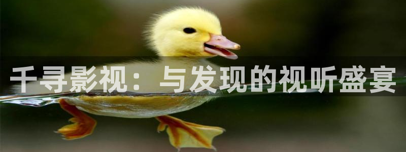 草草影院久久影院：千寻影视：与发现的视听盛宴