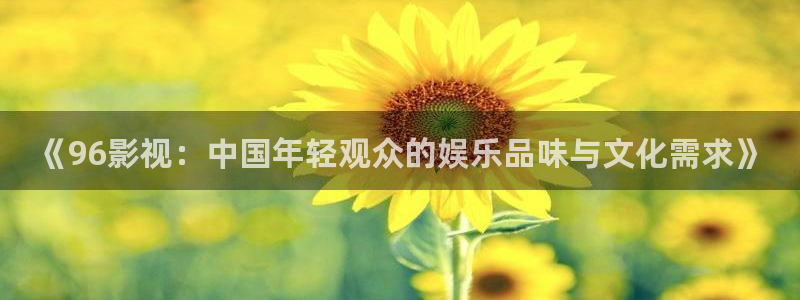 久久综合影院91：《96影视：中国年轻观众的娱乐品味与文化需求》