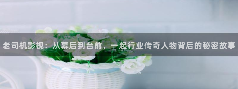 久久久久无吗视频：老司机影视：从幕后到台前，一起行业传奇人物背后的秘密故事