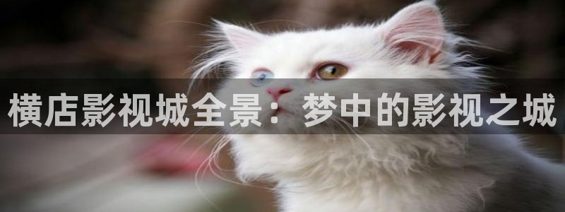 玖玖+99+久久免费视频：横店影视城全景：梦中的影视之城