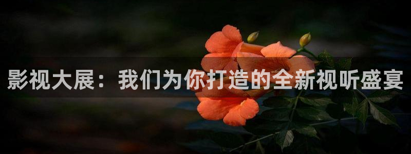 久久视频污：影视大展：我们为你打造的全新视听盛宴