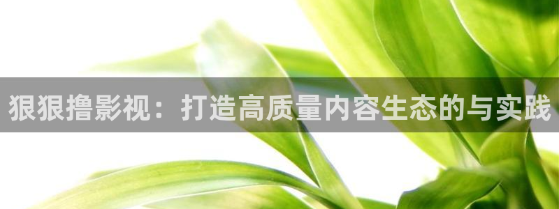 精品久久嫩草影院：狠狠撸影视：打造高质量内容生态的与实践